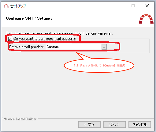 手順１２　チェックを付けて《Custom》を選択